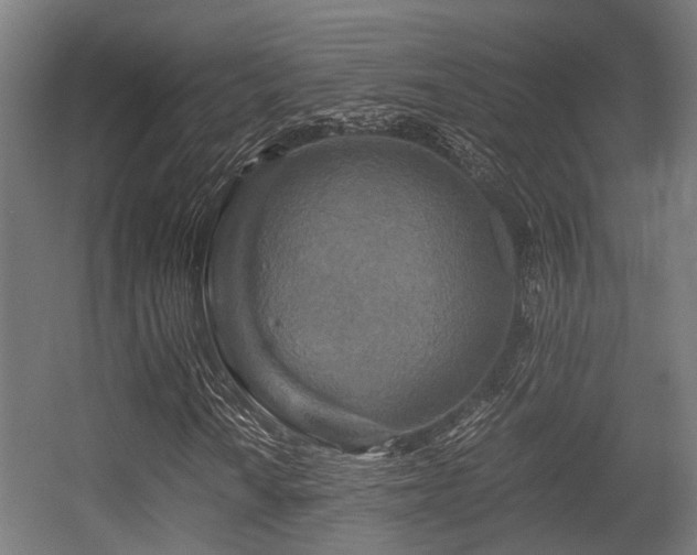 X0000056381010200508291406