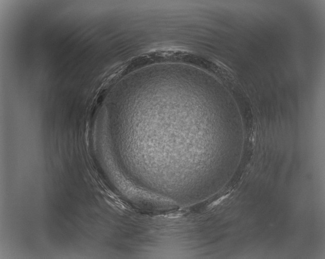 X0000056381014200508291406