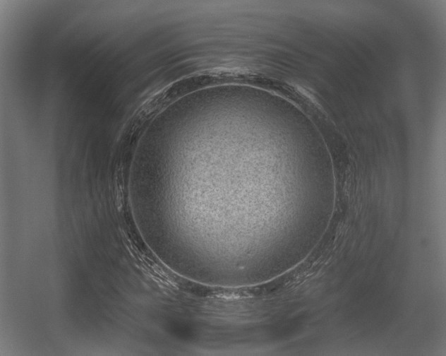X0000056381015200508291406
