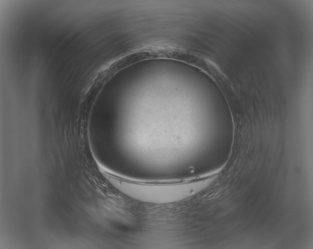 X0000056381016200508291406