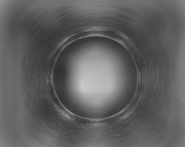 X0000056381017200508291406