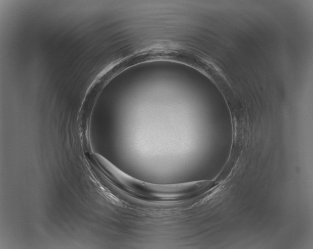 X0000056381018200508291406