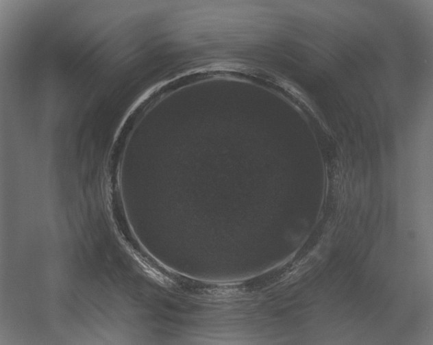 X0000056381024200508291406