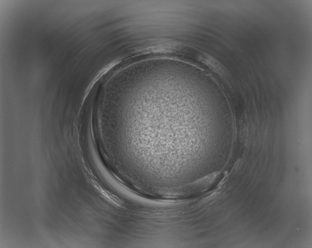 X0000056381026200508291406