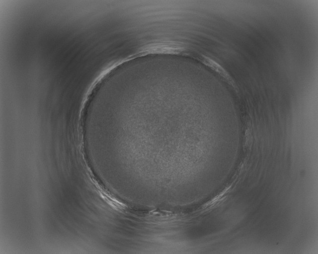 X0000056381027200508291406