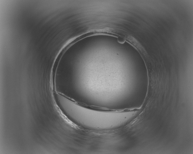 X0000056381036200508291406