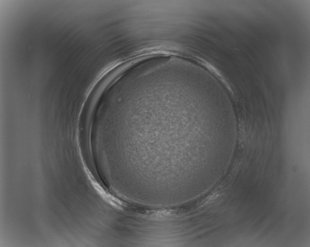 X0000056381042200508291407