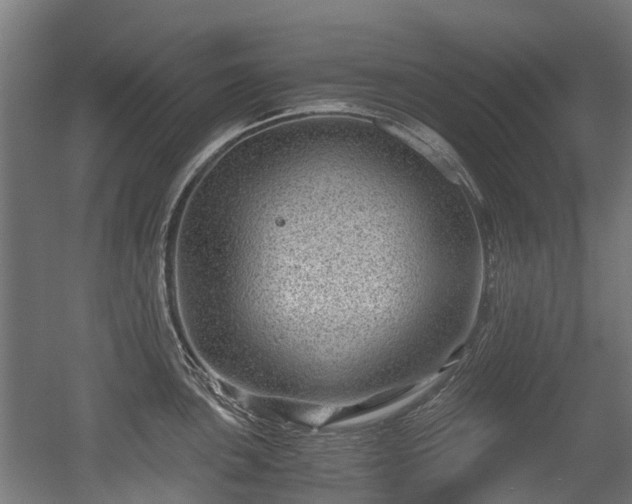 X0000056381051200508291407