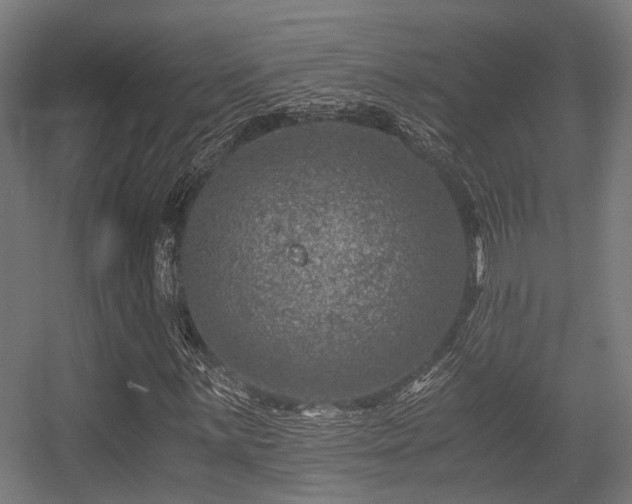 X0000056381059200508291406