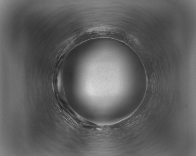X0000056381062200508291406