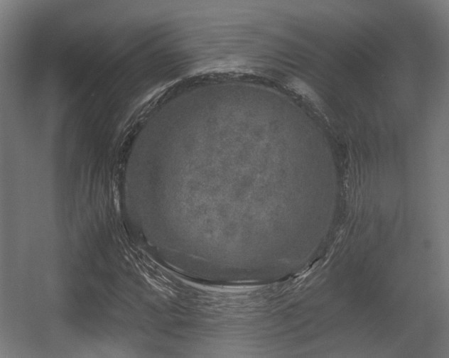 X0000056381064200508291406