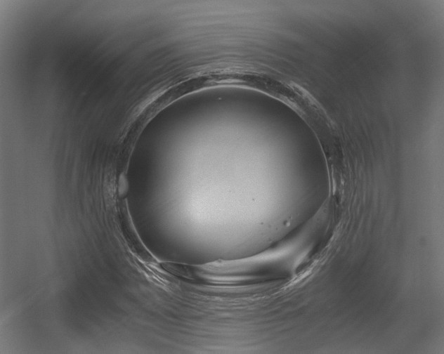 X0000056381065200508291406
