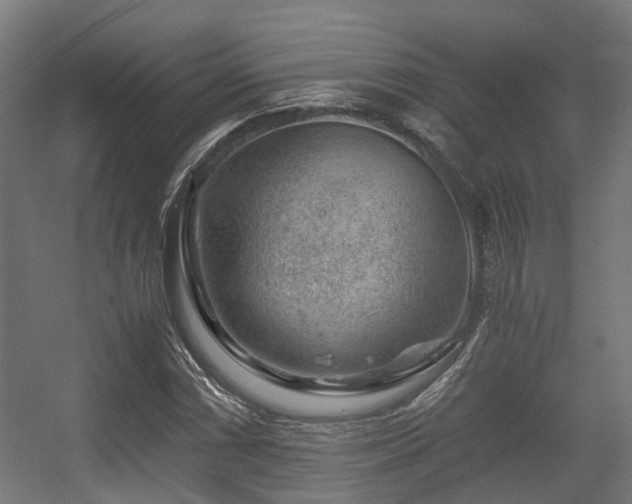 X0000056381066200508291406
