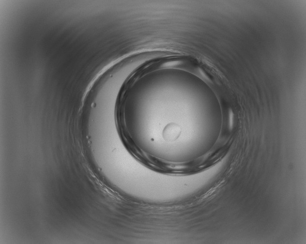 X0000056381069200508291406