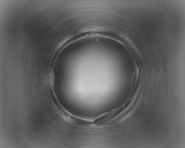 X0000056381073200508291406