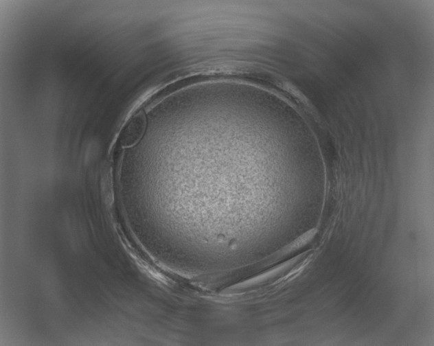 X0000056381075200508291406