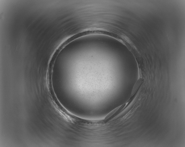 X0000056381076200508291406