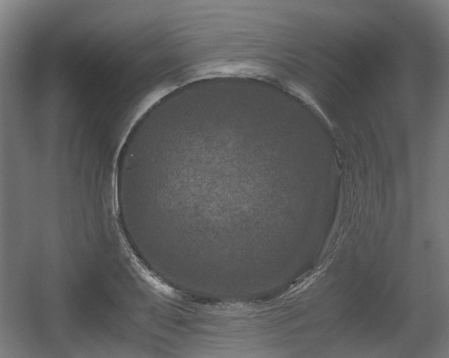 X0000056381079200508291406