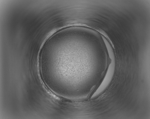 X0000056381096200508291405