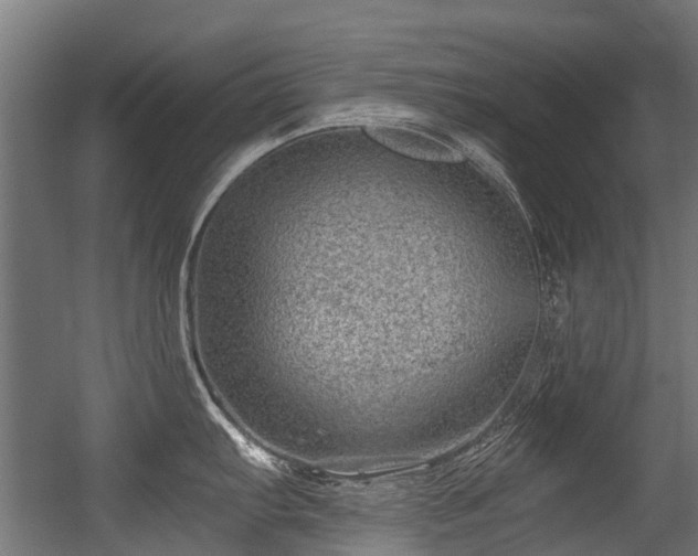 X0000056381103200508291405
