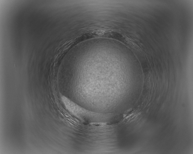 X0000056381105200508291404