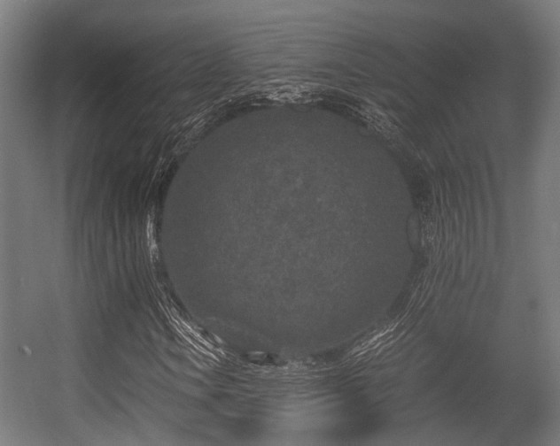 X0000056381106200508291404