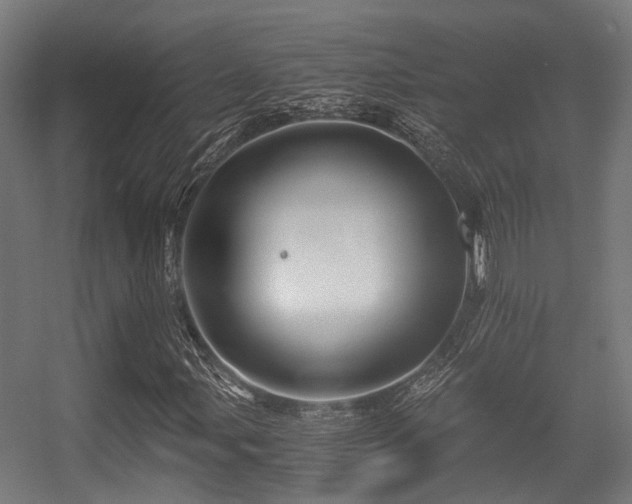 X0000056381107200508291404