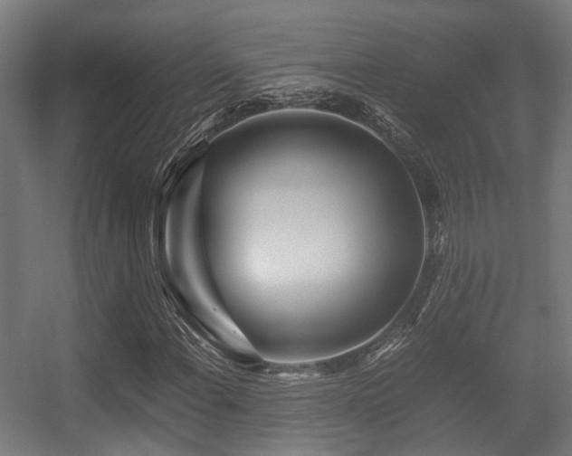 X0000056381108200508291404
