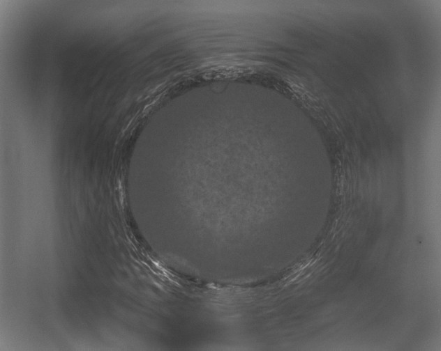 X0000056381109200508291404
