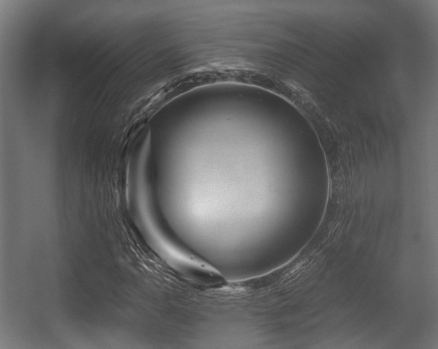 X0000056381110200508291404