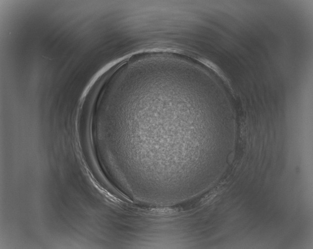 X0000056381120200508291405