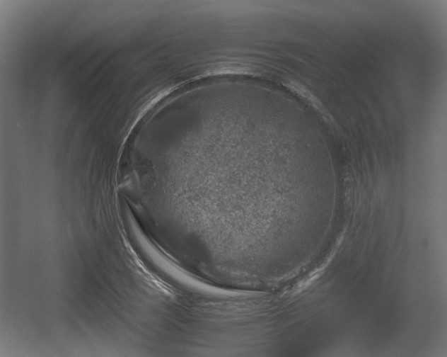 X0000056381121200508291405