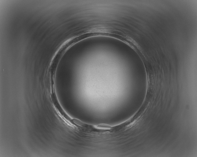 X0000056381123200508291405