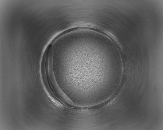 X0000056381128200508291405