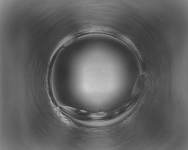 X0000056381138200508291405