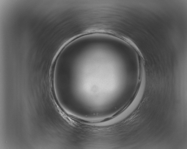 X0000056381148200508291405