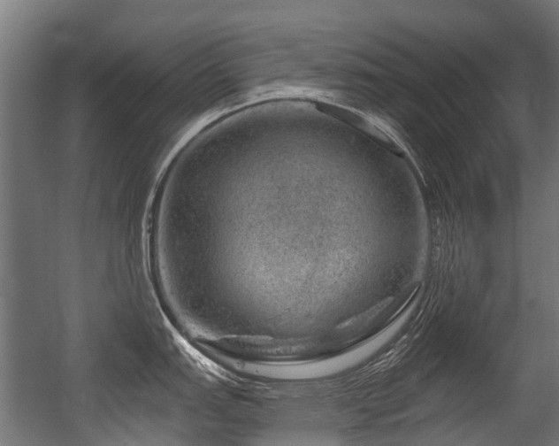 X0000056381151200508291405