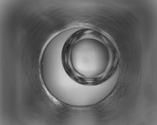 X0000056381152200508291405