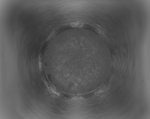 X0000056381154200508291404
