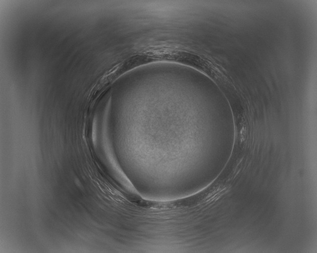 X0000056381156200508291404