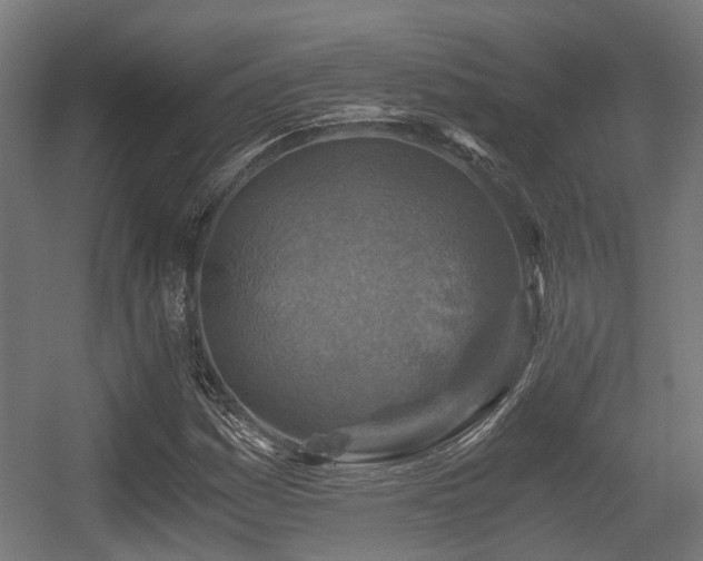 X0000056381161200508291404