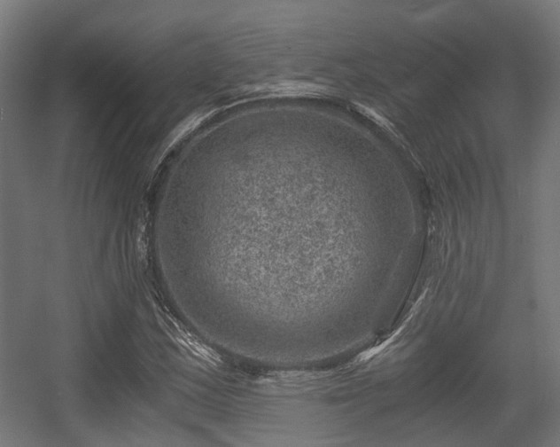 X0000056381163200508291404