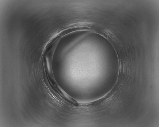 X0000056381164200508291404