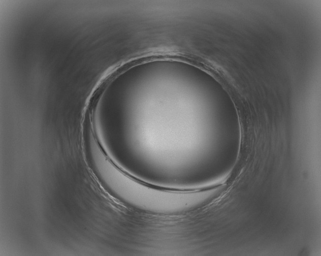 X0000056381168200508291404
