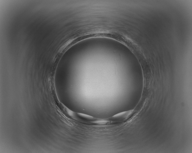 X0000056381169200508291404