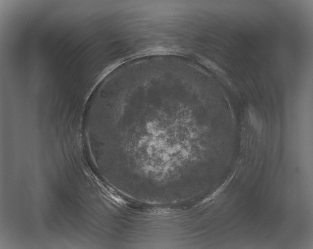 X0000056381170200508291404