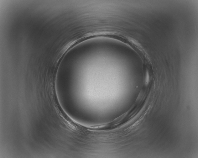 X0000056381177200508291404