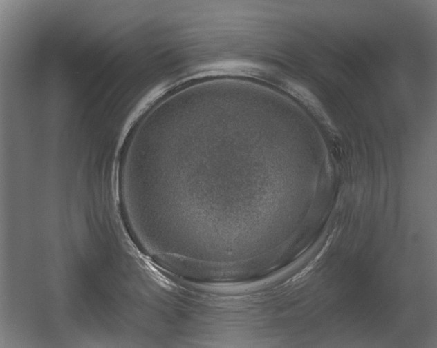 X0000056381180200508291404