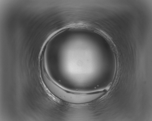 X0000056381200200508291404