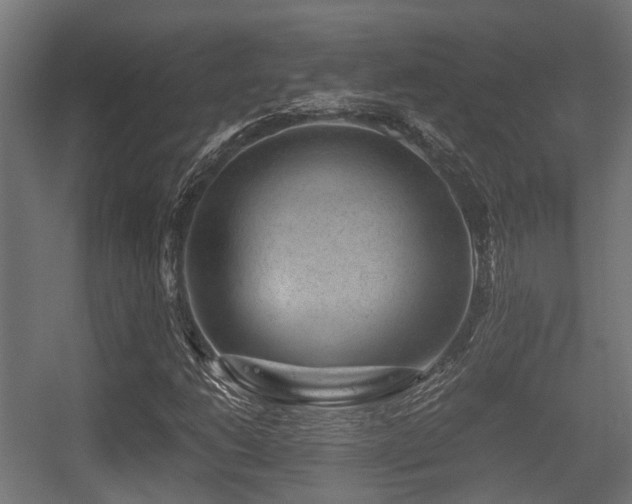 X0000056381206200508291403